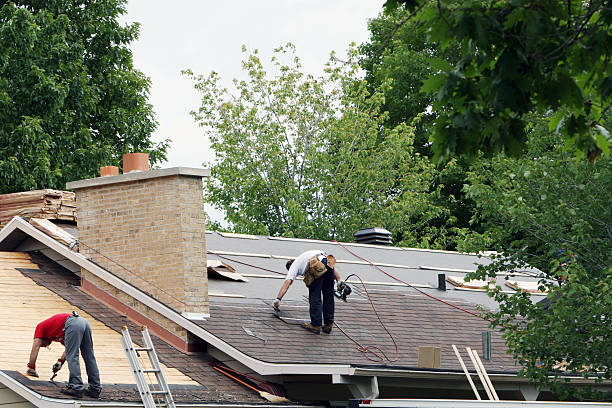 Best Roof Maintenance Services  in Royal Pines, NC